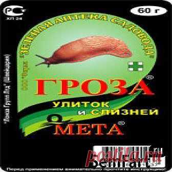 Борьба со слизнями | Дача на Дону