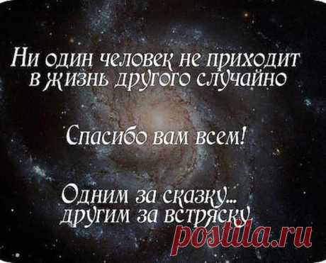 Спасибо вам и за сказку, и за встряску...