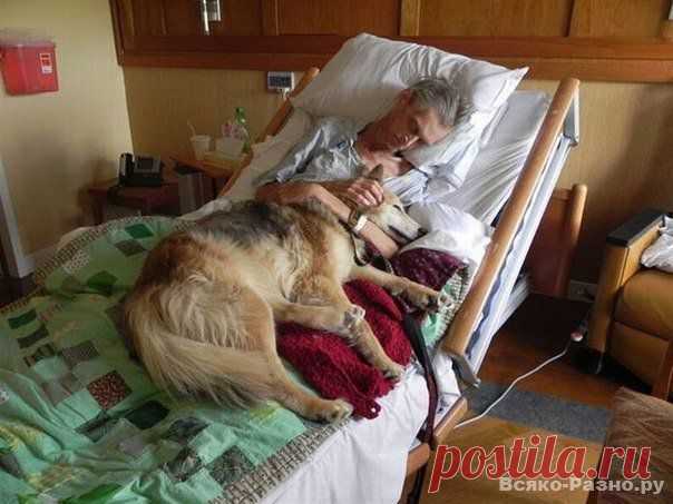 Преданность...