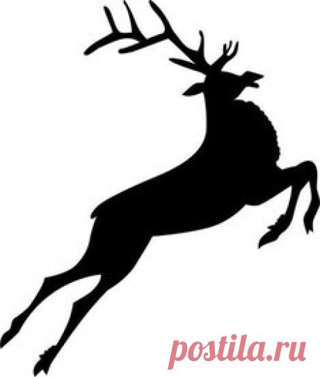 Surfingbird / Популярное