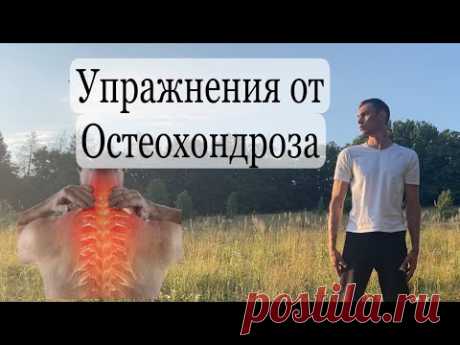 упражнения от шейного, грудного остеохондроза osteochondrosis exercises