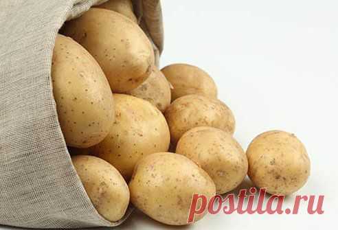 1 желток, 
1 чайная ложка растительного масла, 
1 чайная ложка меда, 
1 чайная ложка морской соли (можно обычную) 
2 картофелины среднего размера. 
 Разделите волосы на пряди и нанесите маску на кожу головы и корни. Затем распределите по всей длине. Укутайте голову теплым полотенцем и держите маску в течение 30-40 минут. Вымойте волосы мягким шампунем и ополосните теплой водой с небольшим добавлением уксуса или лимонного сока.
