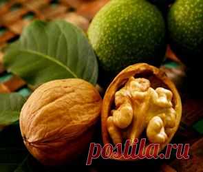 Народные средства для иммунитета и работоспособности