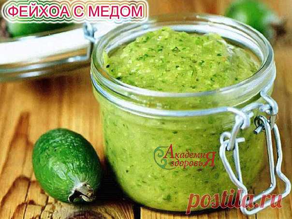 ФЕЙХОА С МЕДОМ  



 















 Смесь фейхоа с медом – прекрасный состав для регионов, неблагополучных в плане содержания йода,
то есть для большей части территории России.
Доказана эффективность использования…