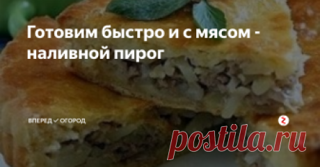 Готовим быстро и с мясом - наливной пирог Когда хочется выпечки, а времени на приготовление нет и силы уже на исходе, приготовьте наливной пирог с мясом. Он готовится быстро и легко.
Нам понадобится:
Для теста:
Яйца - 2 шт