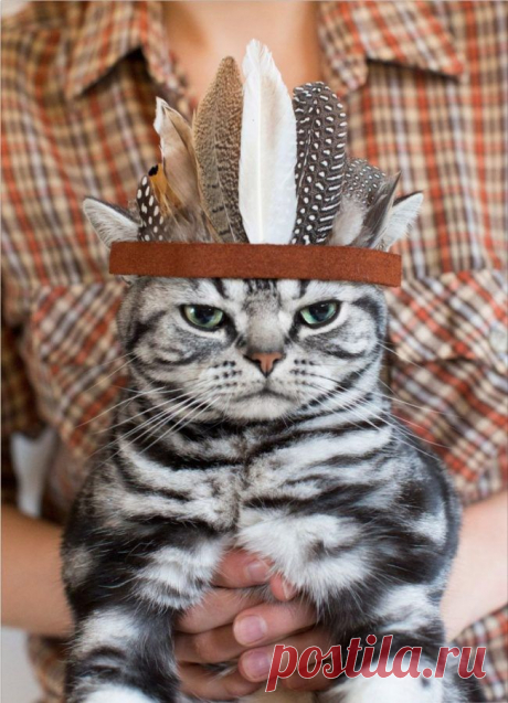 Вождь апачей