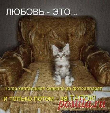 картинки - Здесь будет интересно