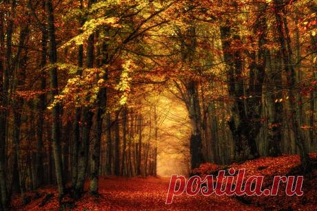 Autumn Profile Explore tronik0's photos on Flickr. tronik0 has uploaded 292 photos to Flickr.