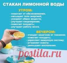 #здоровье	
#дляздоровья
#оздоровье
#проздоровье
#полезно
#спользой
#каквыздороветь
#фитнес
#упражнения
#какпохудеть
#похудение
#упражнениядляпохудения
#худеем
#хочупохудеть
#всёдляздоровья