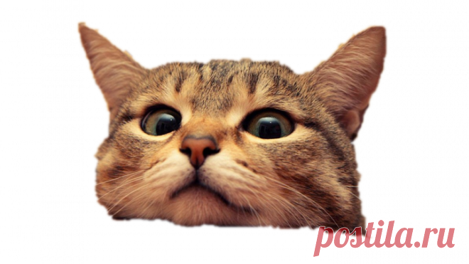 Алла Ачкасова.Готовим подарки к Новому году - детям конфетницу, дамам шампанское!.