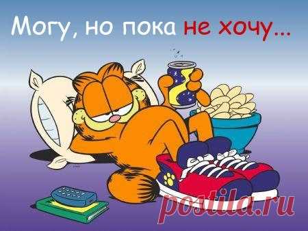 АЛЬТЕРНАТИВНЫЙ МИР.