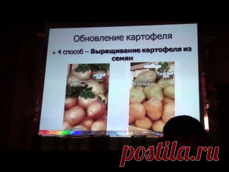 Выращиваем картофель по-природному - YouTube