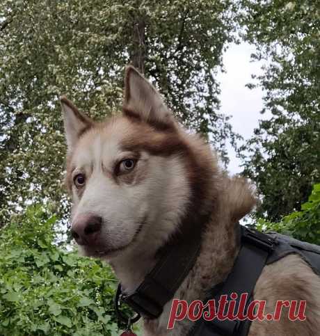 17 артистичных питомцев, которые строят такие мордахи, что Ди Каприо ещё долго ждать свой второй Оскар В киноиндустрии есть такие актёры, которых уже не нужно представлять, они известны каждому.
Но есть и такие, которых не знает никто, кроме друзей и семьи.
Вот мы и решили составить список самых известных детей актёров в мире кино.
Кто из детей кого представляет?
Их родители известны в своих кругах, а дети продолжают радовать нас их успехами.
Да и не только в кино.
С некоторыми мы даже дружим!