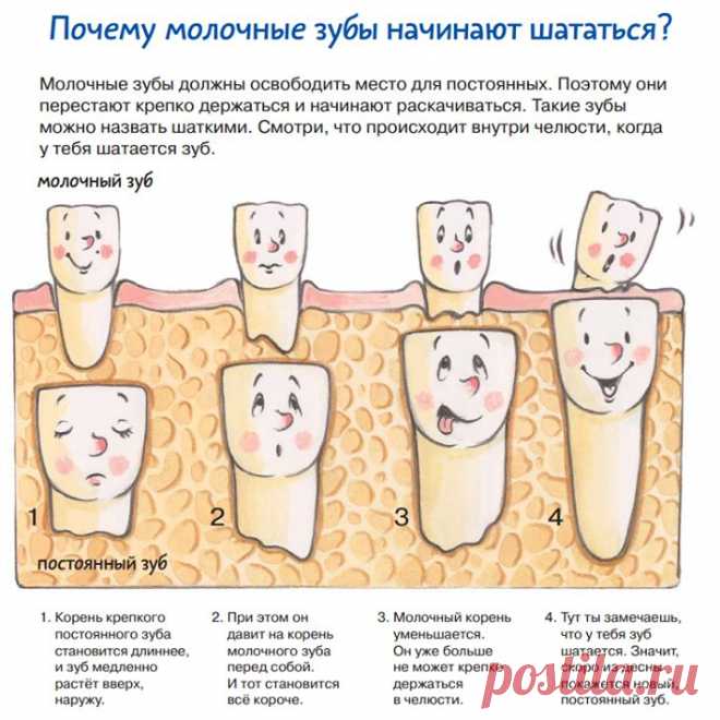 МИФ Детство - Фото Хроники | Facebook