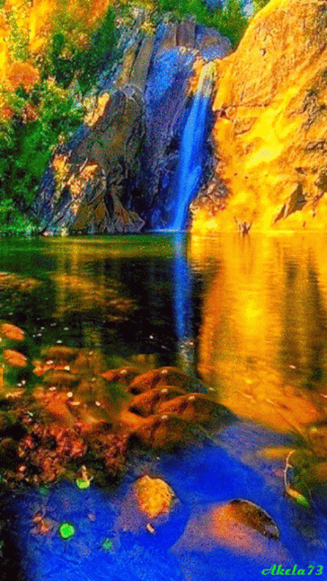 i-7381.gif (323×574)