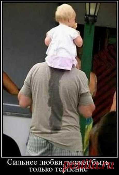 Сильнее любви может только терпение