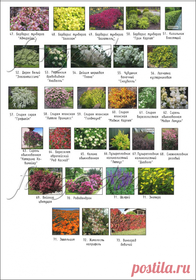 Ландшафтное проектирование участка. Визуализация ландшафтного дизайна.