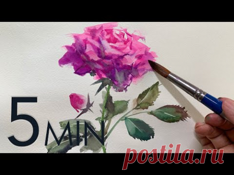 [Eng sub] 5min Easy Watercolor |  Rose flower
