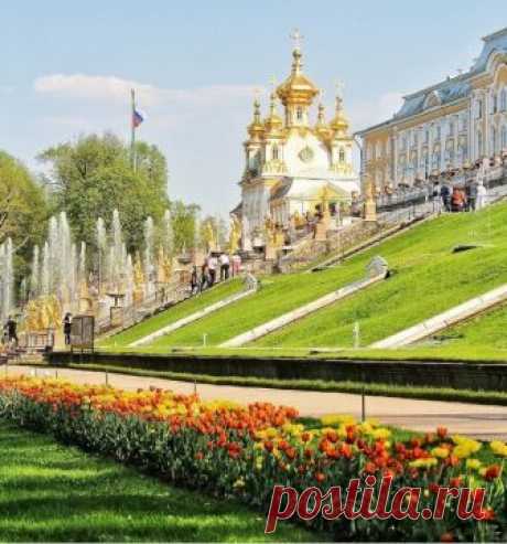 Тюльпаны в Петергофе. Красота России!!!