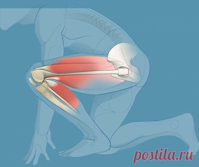 Эфирные масла для облегчения боли в коленях Боль в колене является распространенным заболеванием, которое может поражать людей любого возраста. Есть множество причин, почему это может произойти. Боль в колене может быть вызвана острой травмой, полученной во время несчастного случая или занятий спортом, или она может быть более хронической по природе, вызванной такими состояниями, как артрит, подагра или инфекция. Простое перенапряжение колена со временем может вызвать боль...