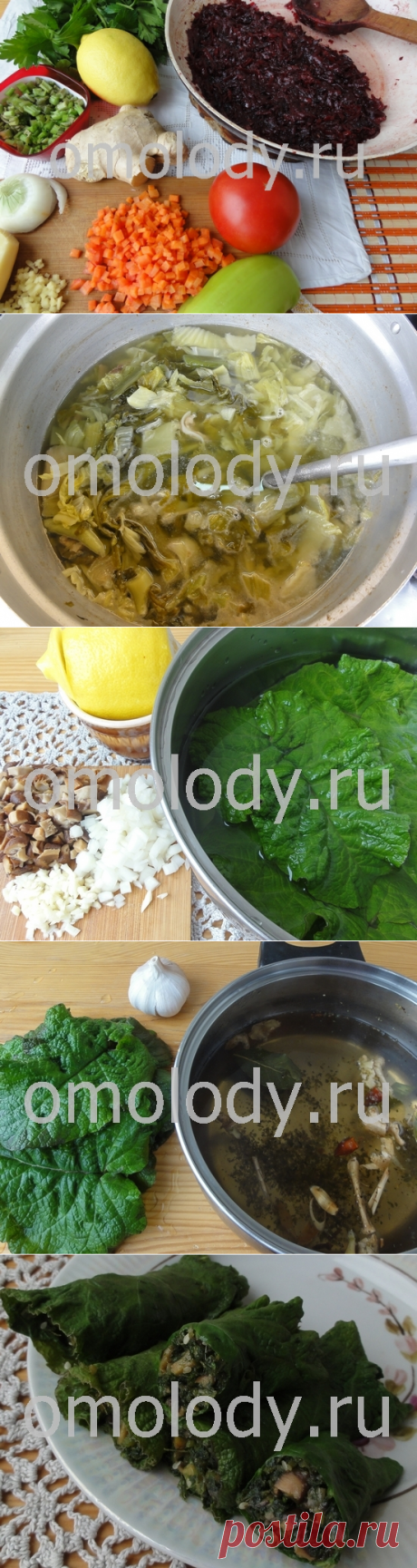 Рецепты из лопуха с фотографиями. Весенние блюда из дикорастущих трав.