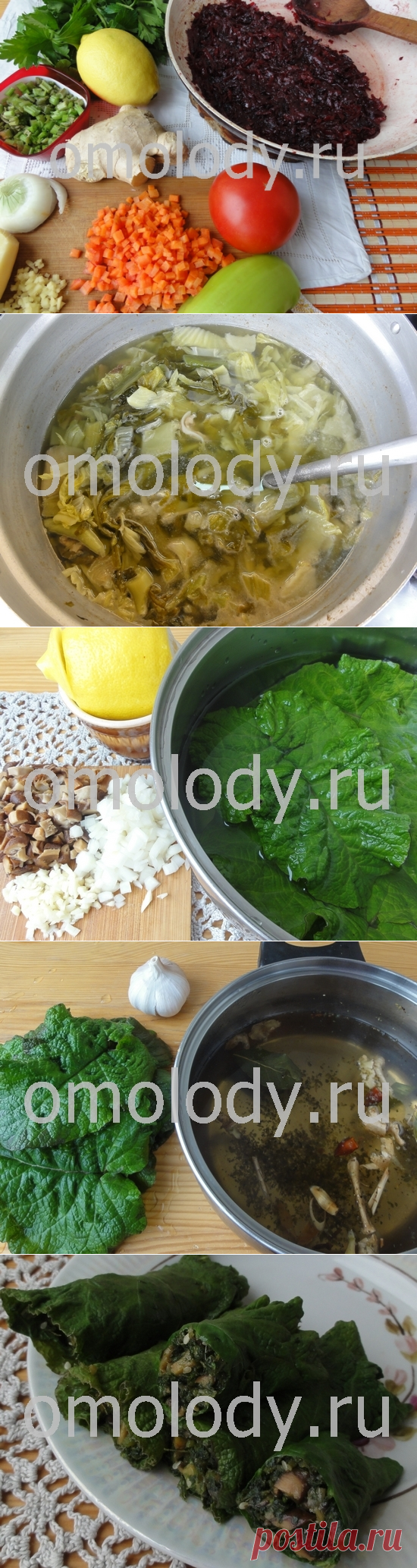 Рецепты из лопуха с фотографиями. Весенние блюда из дикорастущих трав.