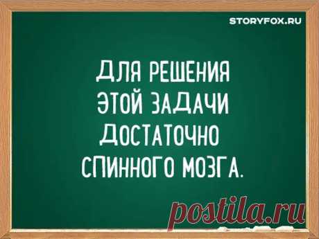 Смешные перлы преподавателей ВУЗов - ЭпиЦентр позитива - медиаплатформа МирТесен