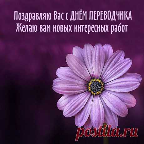 Первоклассный переводчик,
Спец в работе золотой,
Пожелать хочу я очень,
Чтобы труд ценился твой!