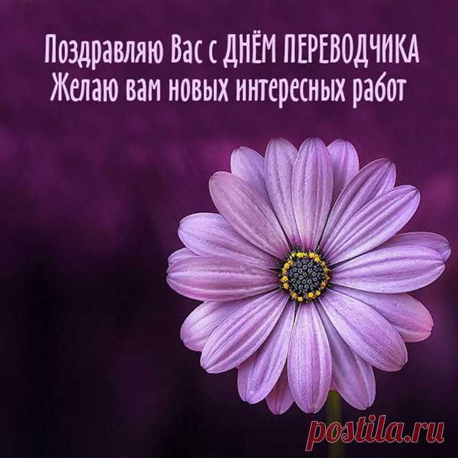 Первоклассный переводчик,
Спец в работе золотой,
Пожелать хочу я очень,
Чтобы труд ценился твой!