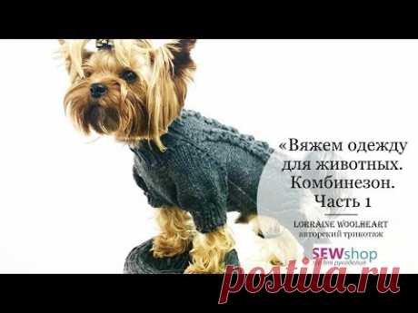 &quot;Вяжем одежду для животных спицами. Комбинезон. Часть 1&quot; вместе с Lorraine Woolheart - YouTube