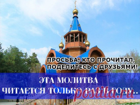 (16) Одноклассники