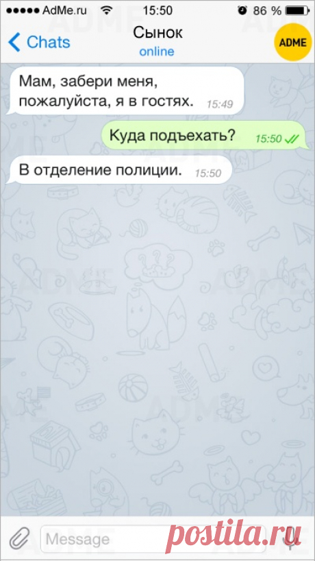15 жизненных СМС