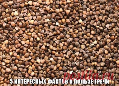 Правильное питание