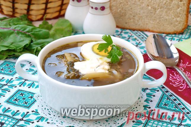 Ботвинник рецепт, как приготовить суп ботвинник на Webspoon.ru