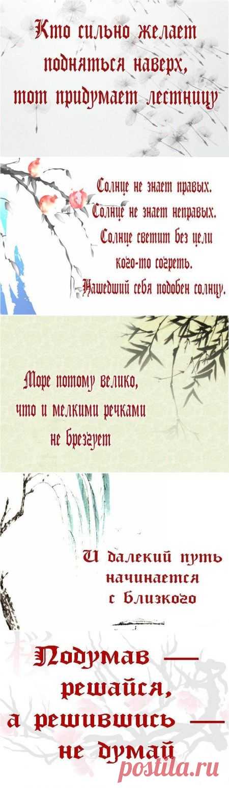 Японской мудрости пост. — Всегда в форме!