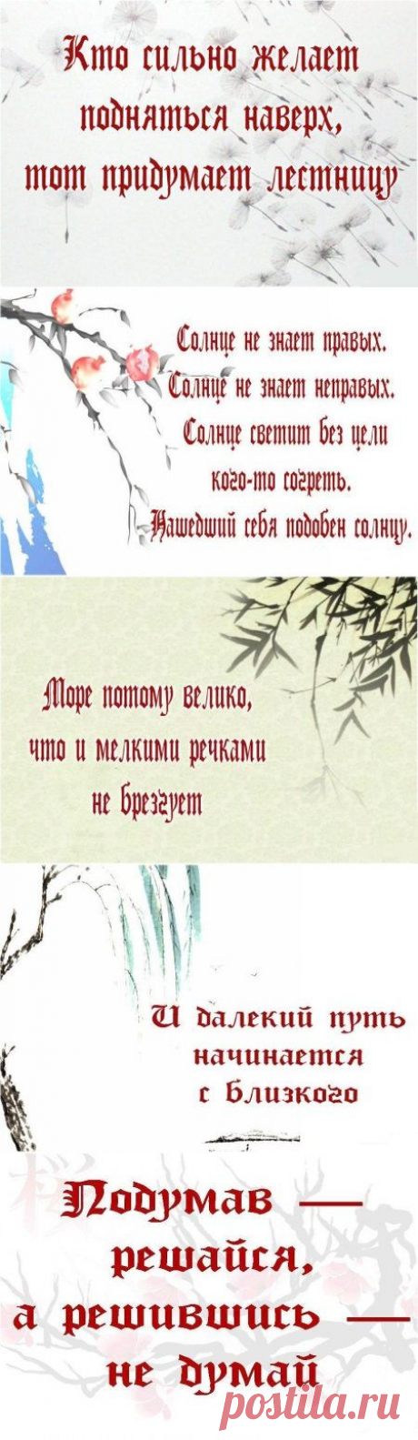 Японской мудрости пост. — Всегда в форме!