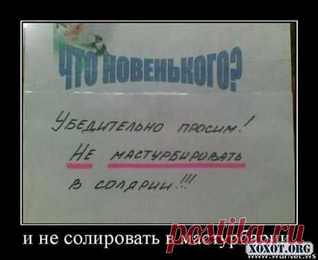 приколы