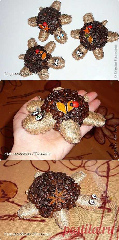 кофейные черепашки