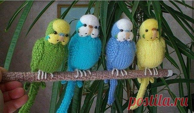 Вязаные попугайчики.
