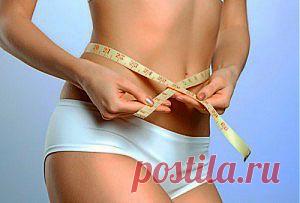 ЧЁРНАЯ БУЗИНА КАШЕЛЬ УЙМЁТ, ОЛИВКОВОЕ МАСЛО КАМНИ УБЕРЁТ | Советы Народной Мудрости