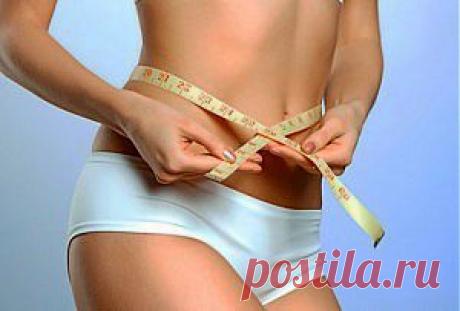 ЧЁРНАЯ БУЗИНА КАШЕЛЬ УЙМЁТ, ОЛИВКОВОЕ МАСЛО КАМНИ УБЕРЁТ | Советы Народной Мудрости