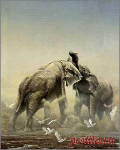 Роберт Бейтман - Спарринг слонов: ИСКУССТВО