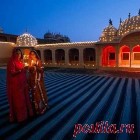 10 самых смертоносных растений мира - МирТесен