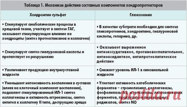 Какие лекарственные препараты содержат хондропротекторы?

Сегодня заболевания суставов и позвоночника встречаются очень часто. Специалисты, изучающие эту проблему, убеждены, что образ жизни людей в современном мире способствует возникновению таких болезней. Именно для эффективного лечения различных заболеваний, поражающих позвоночник и суставы, учеными и были разработаны препараты, содержащие хондропротекторы.
Показать полностью…