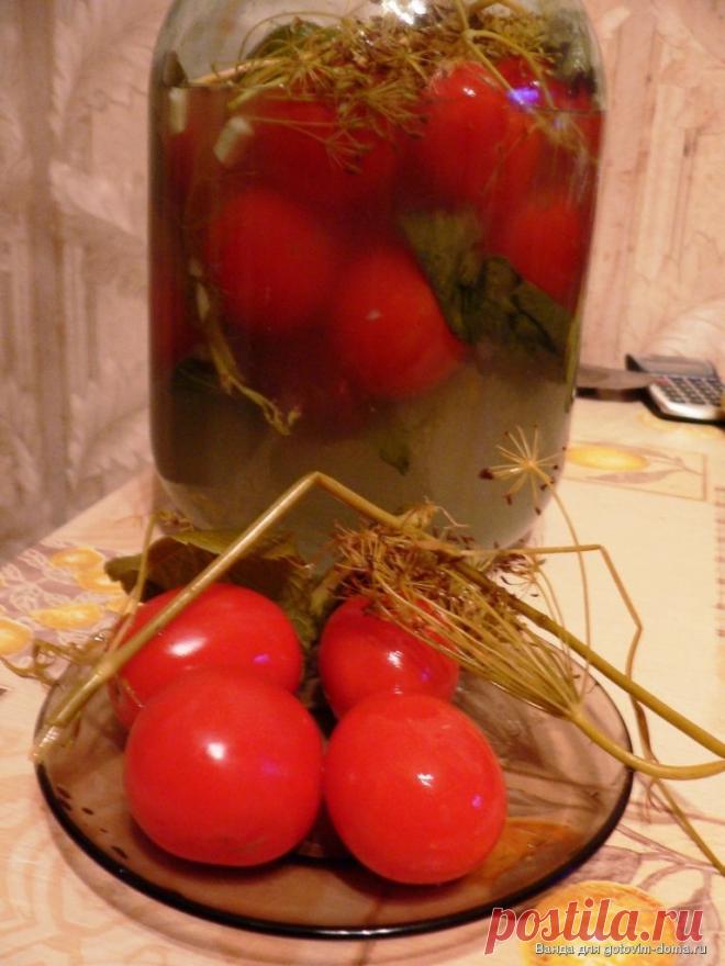 Засолка помидоров холодным способом. Быстро, без кипячения, а главное очень вкусно! | Четыре вкуса