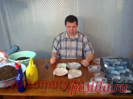 Перцы и баклажаны, 2 способа их посеять
