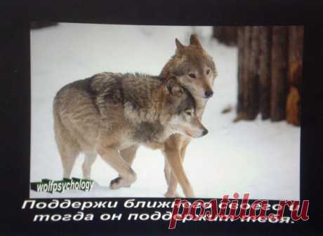 (2) Мой Мир@Mail.Ru