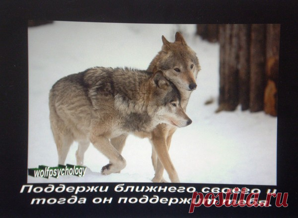 (2) Мой Мир@Mail.Ru