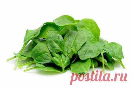 Шпинат — полезные свойства и применение