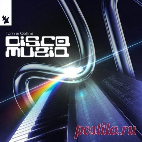 Tom & Collins - Disco Muziq [Armada Music ] free download mp3 music 320kbps